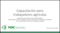 ppt for training workers-spanish